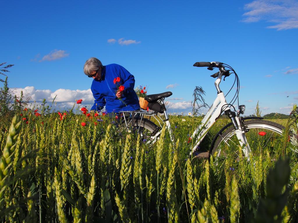 Srokowo Agroturystyka Lolkowo المظهر الخارجي الصورة