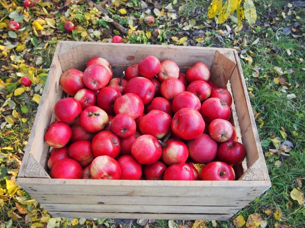 Srokowo Agroturystyka Lolkowo المظهر الخارجي الصورة
